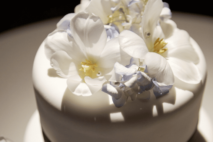 Milestones Cake Bloom Jewelry Discount